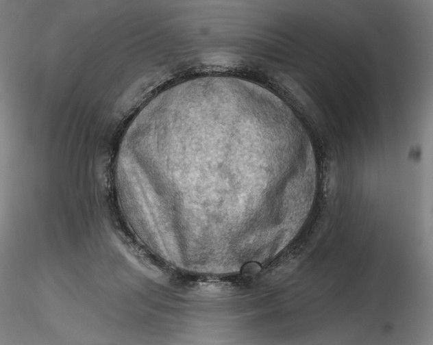 X0000116490455200912231155