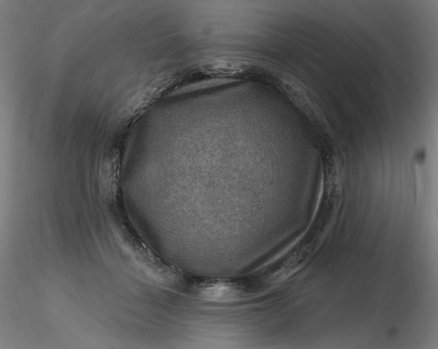 X0000116490460200912231155