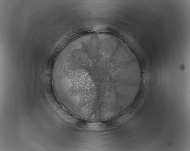 X0000116490461200912231155