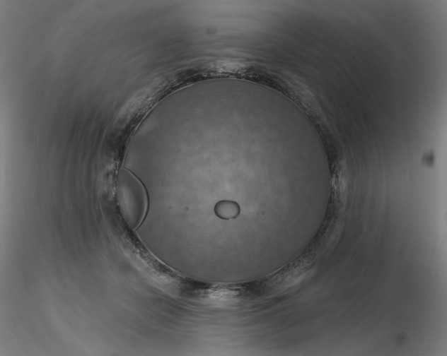 X0000116490462200912231155