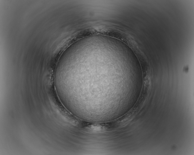 X0000116490464200912231155