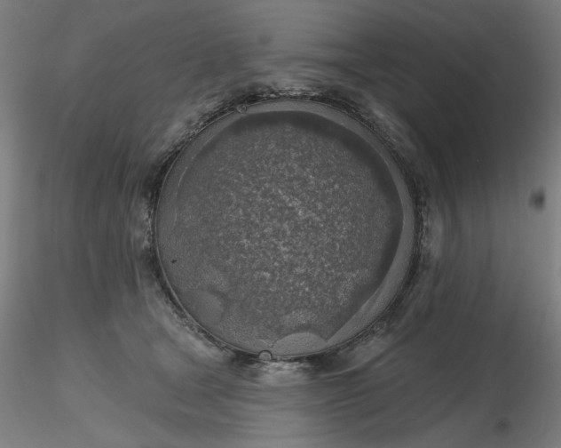 X0000116490465200912231155