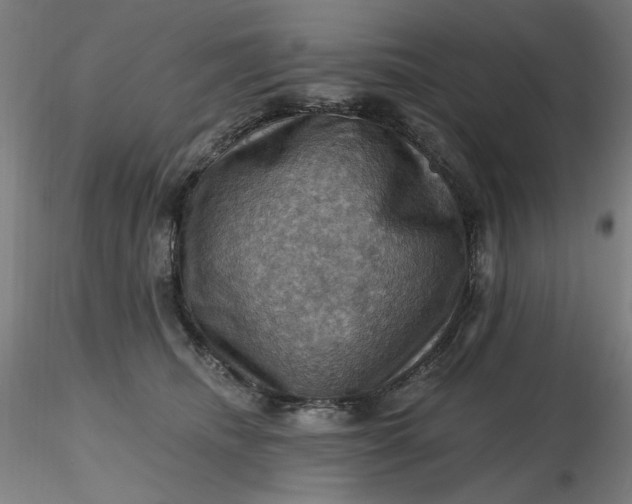 X0000116490468200912231155