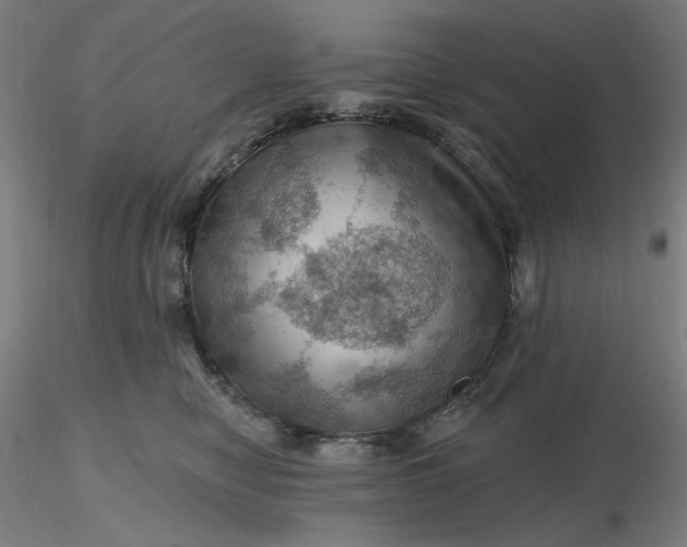 X0000116490470200912231155