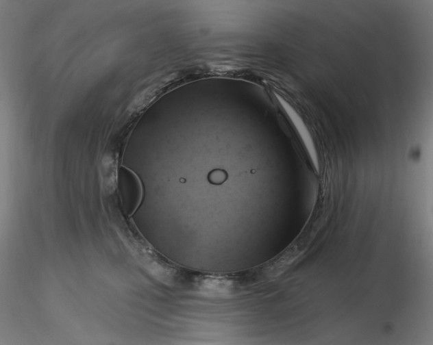 X0000116490471200912231155