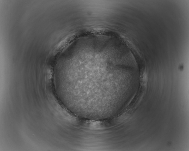 X0000116490472200912231155