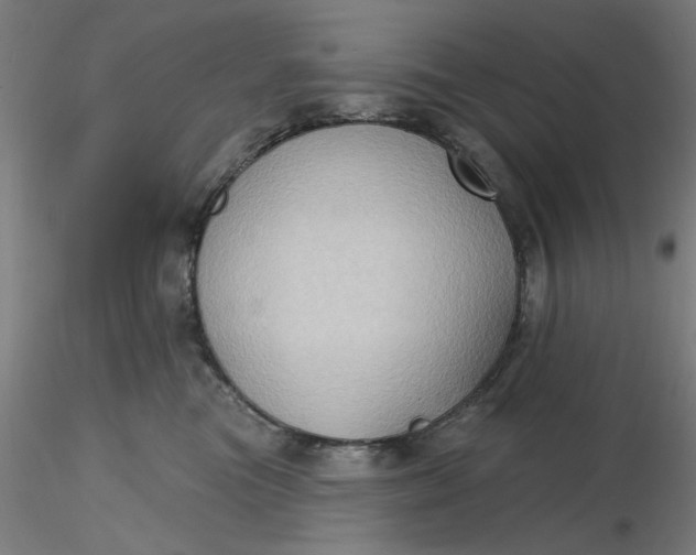 X0000116490473200912231155