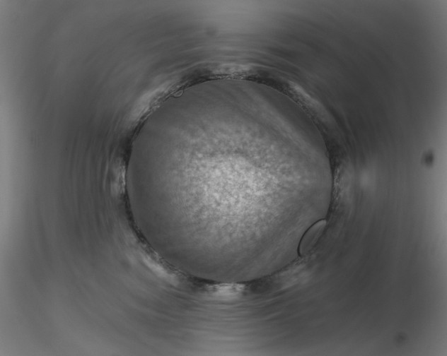 X0000116490474200912231155