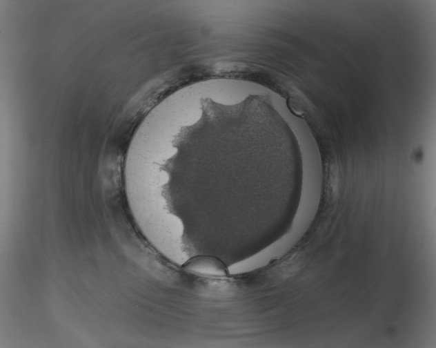 X0000116490475200912231155