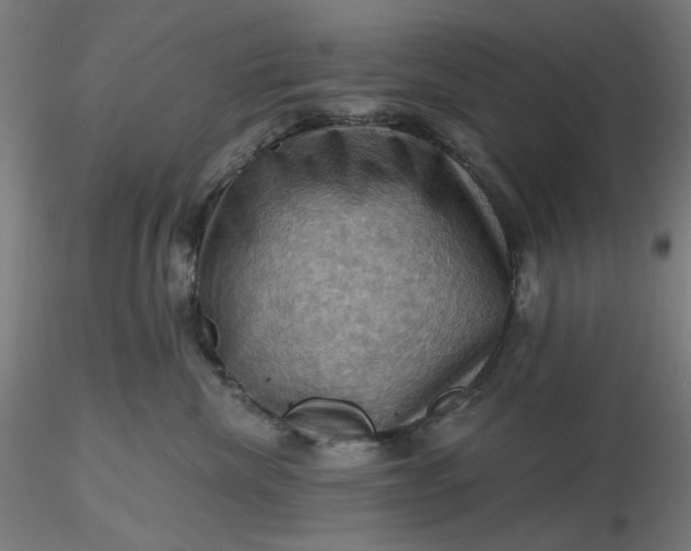 X0000116490476200912231155