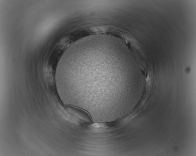 X0000116490477200912231155