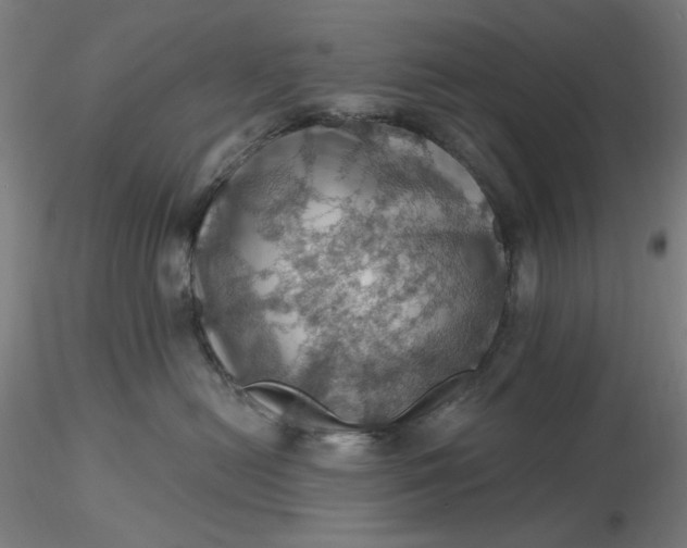 X0000116490478200912231155