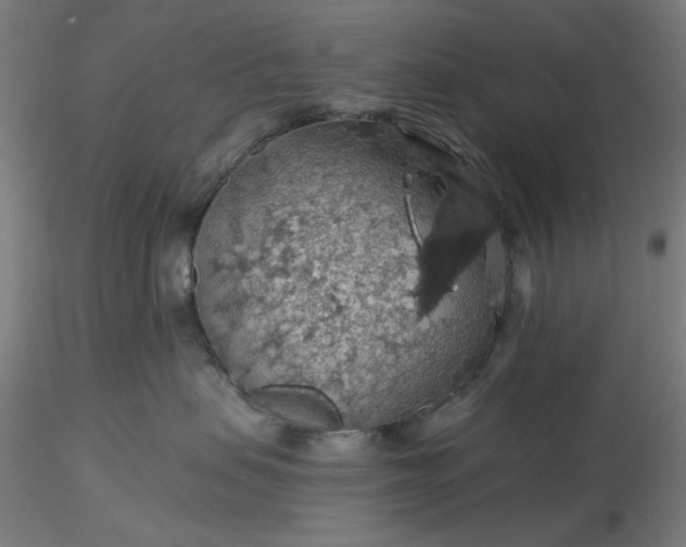 X0000116490479200912231155