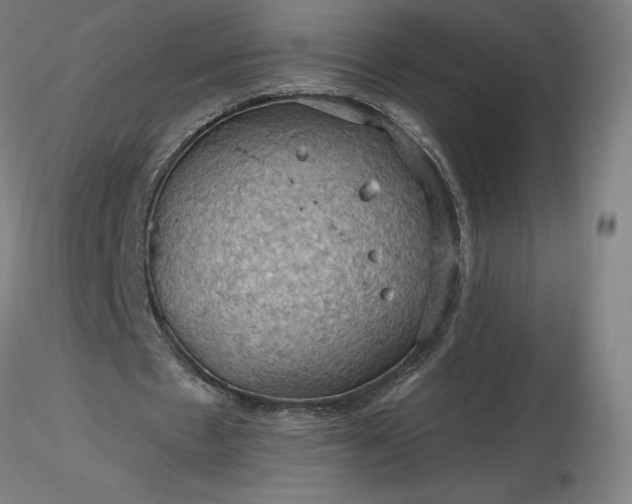 X0000116490481200912231155