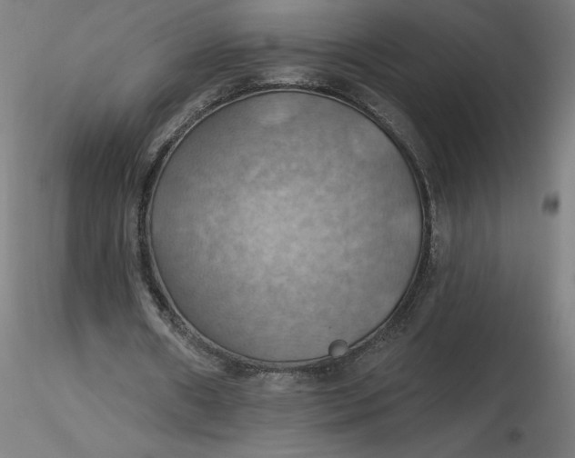 X0000116490482200912231154