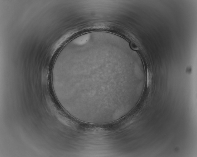 X0000116490483200912231154