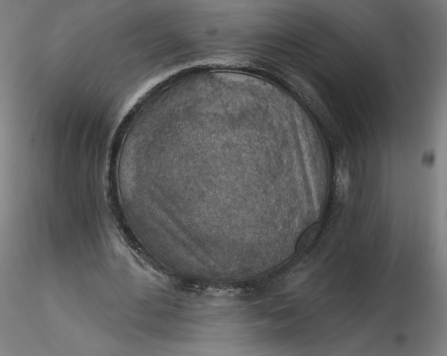 X0000116490484200912231154