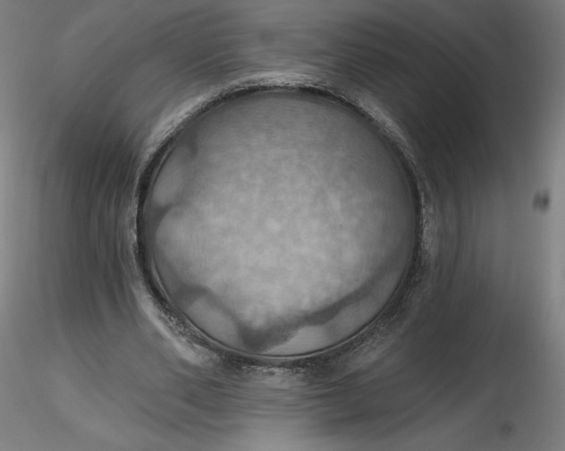 X0000116490486200912231154