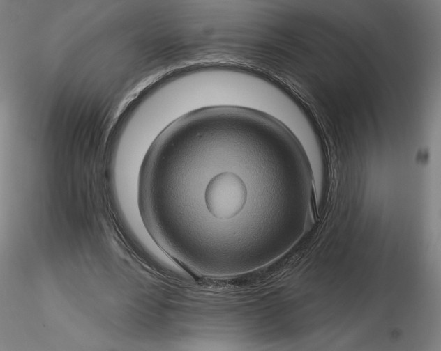 X0000116490488200912231154