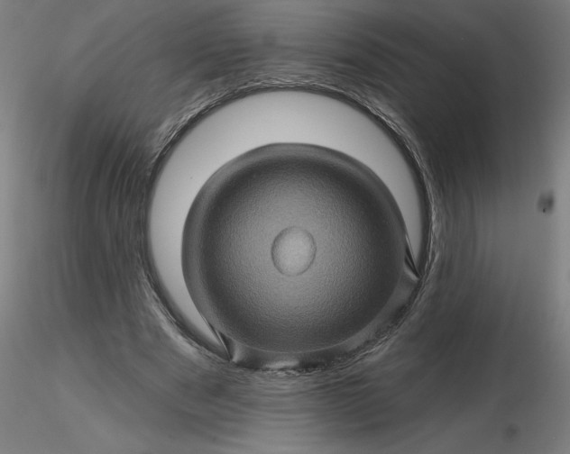 X0000116490489200912231154