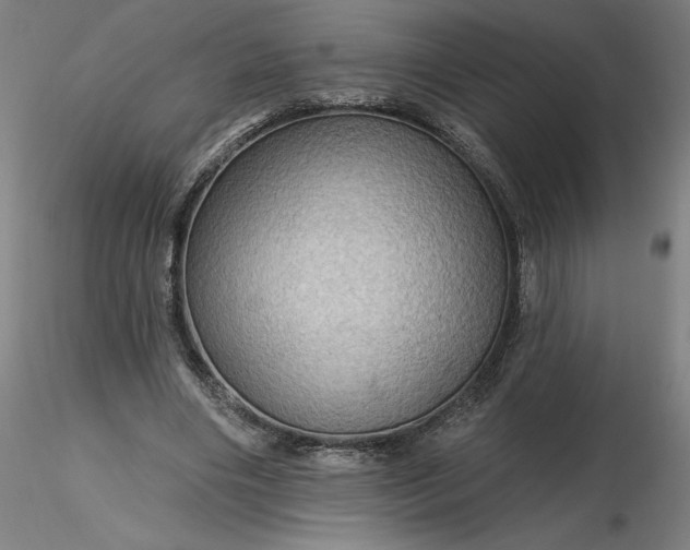 X0000116490490200912231154