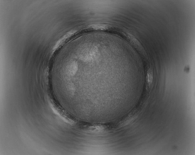 X0000116490492200912231154