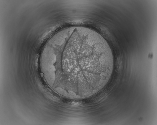 X0000116490495200912231154