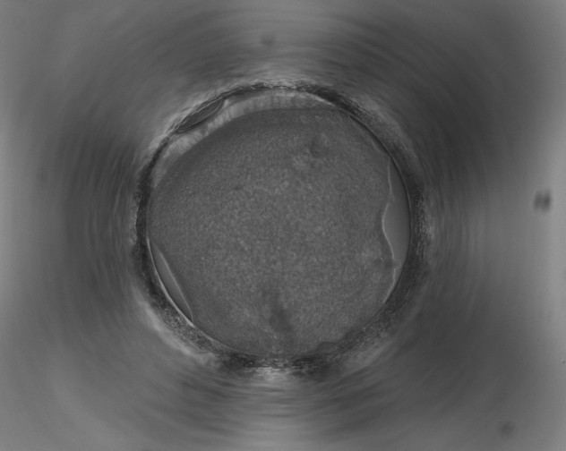 X0000116490496200912231154