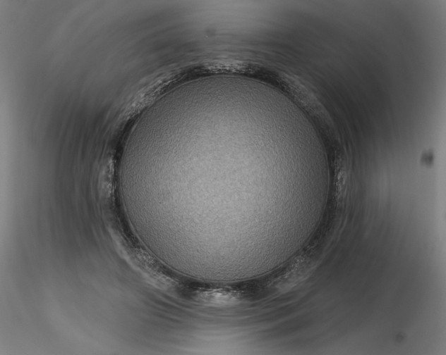 X0000116490498200912231154