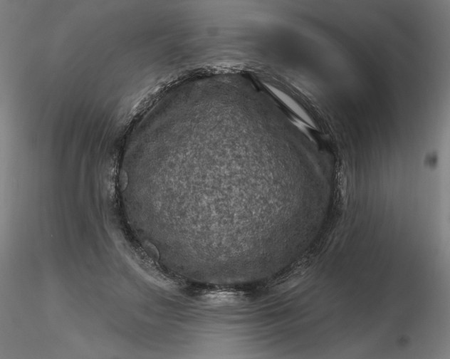 X0000116490499200912231154