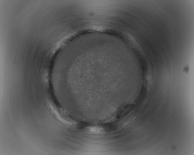 X0000116490500200912231154