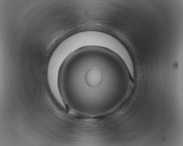 X0000116490501200912231154