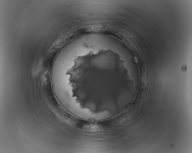 X0000116490503200912231154