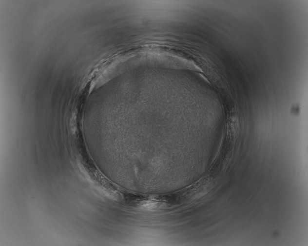 X0000116490504200912231154