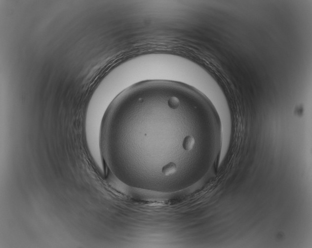 X0000116490505200912231154