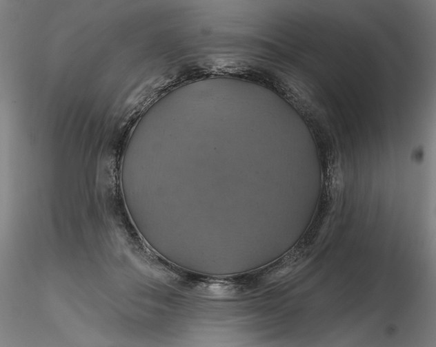 X0000116490506200912231154