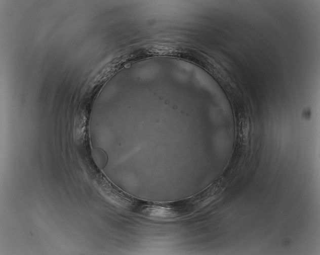 X0000116490507200912231154