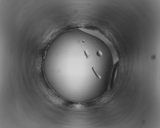 X0000116490509200912231154