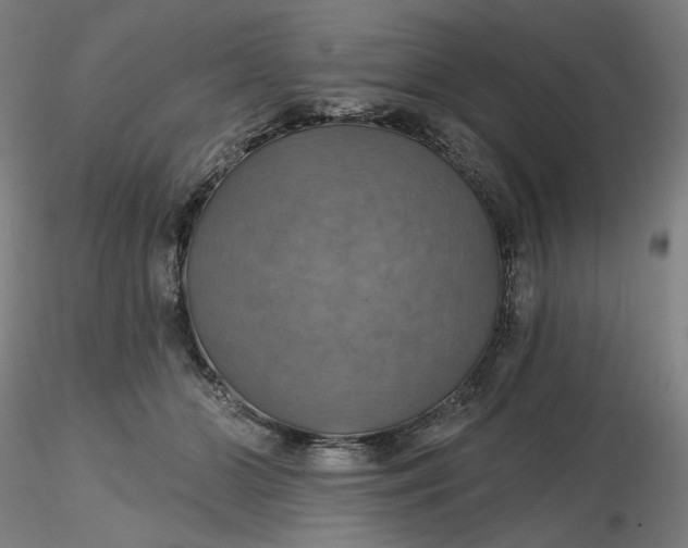 X0000116490510200912231154