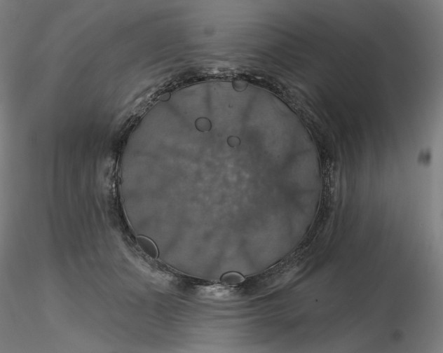 X0000116490511200912231154