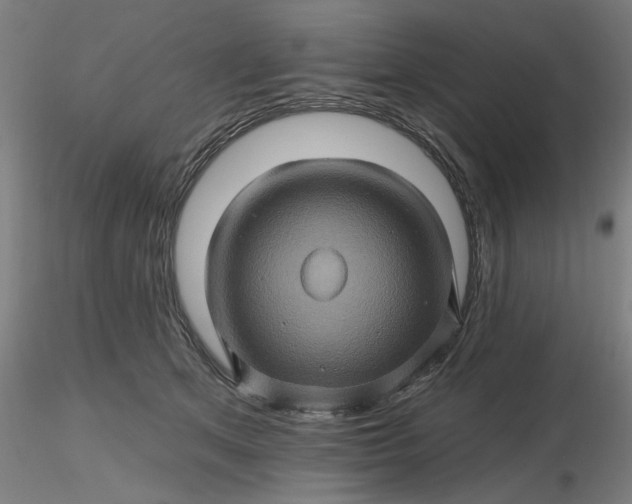 X0000116490513200912231154