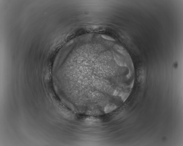 X0000116490515200912231154