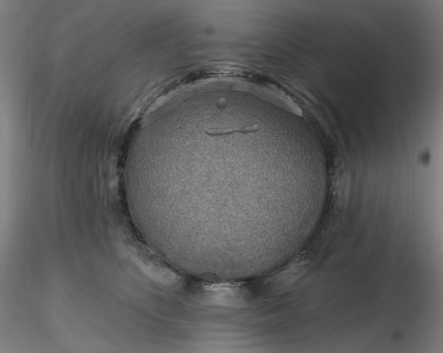 X0000116490516200912231154