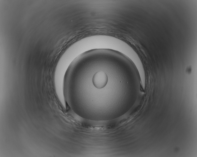 X0000116490517200912231154