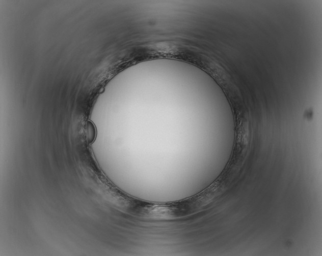 X0000116490518200912231154