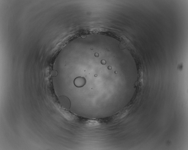 X0000116490519200912231154