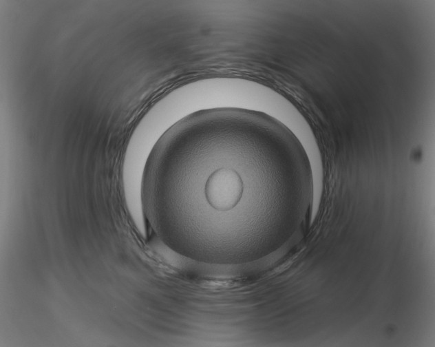 X0000116490521200912231154