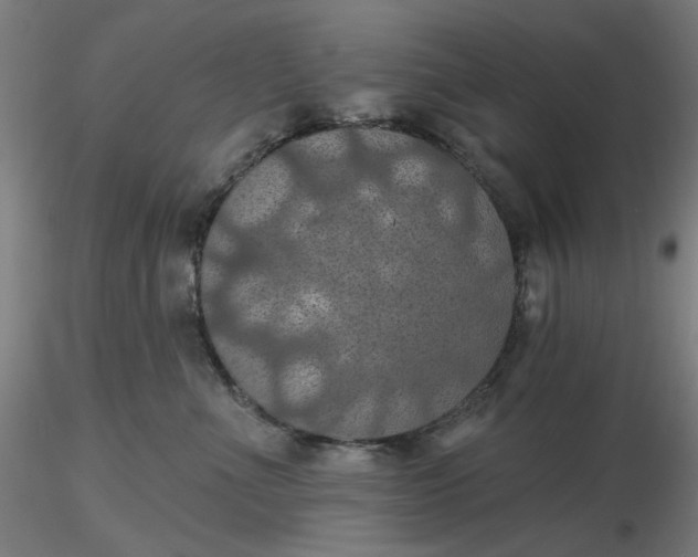 X0000116490523200912231154