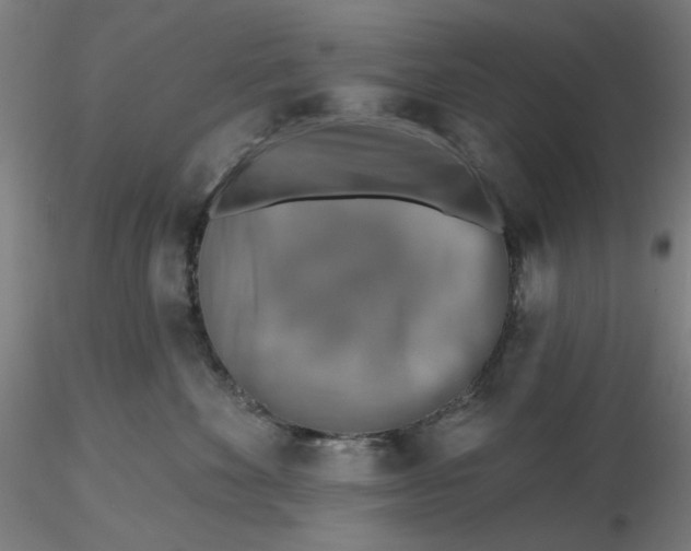 X0000116490524200912231154