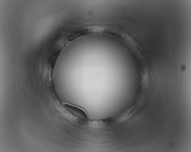 X0000116490525200912231154